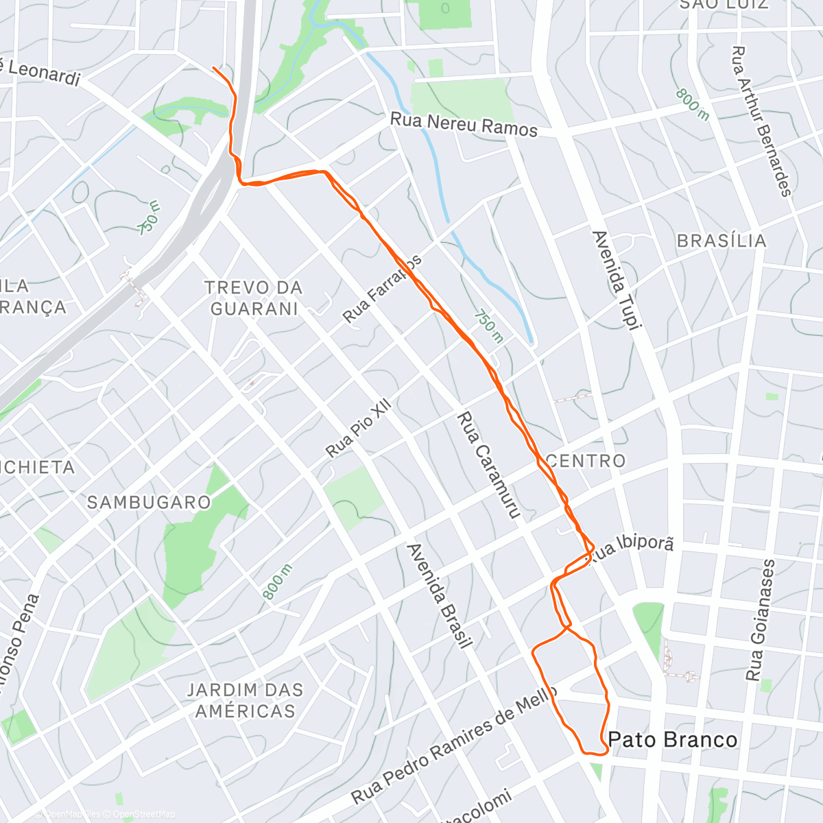 Map of the activity, Última corrida do ano ❤️