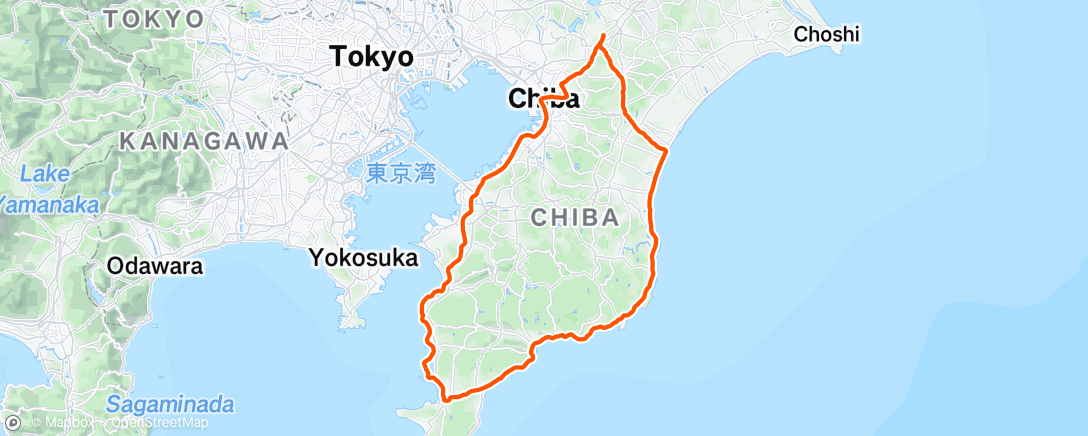 Map of the activity, 表現。