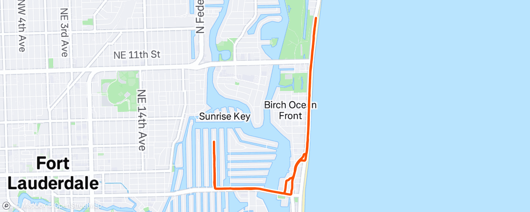 Map of the activity, Morning Run