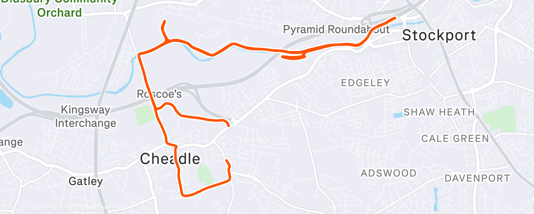 Карта физической активности (75mins running buggy (+strides))