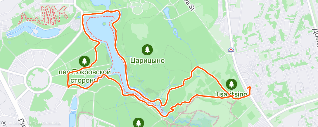 Map of the activity, Morning Run
