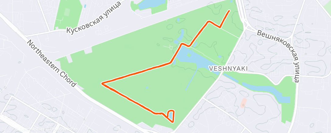 Карта физической активности (Дневной забег)