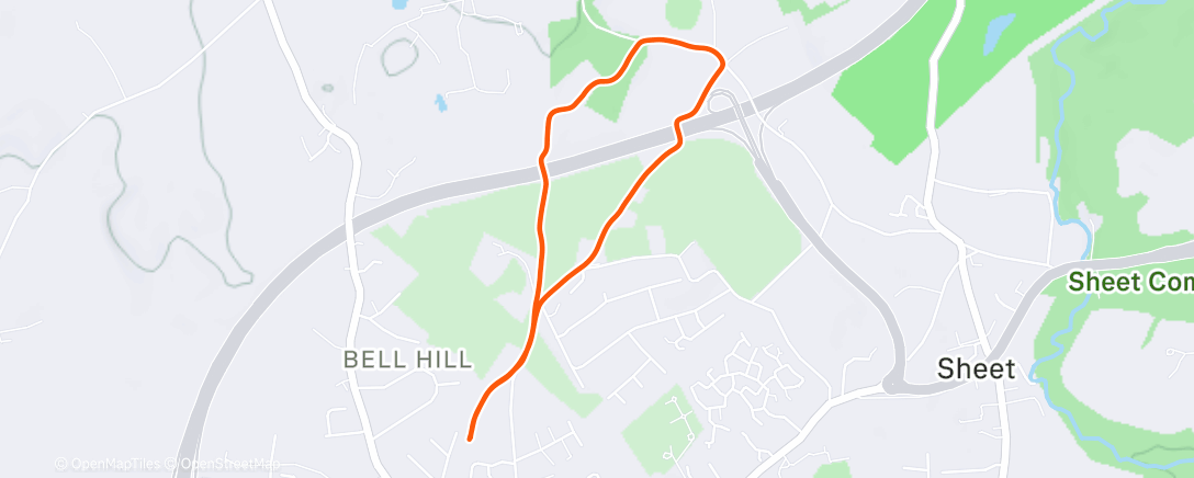 Карта физической активности (Not that festive Domb-walk 🐶)