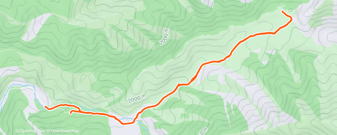 Карта физической активности (Morning Hike)