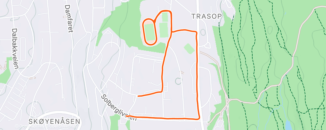 Map of the activity, Evening Run