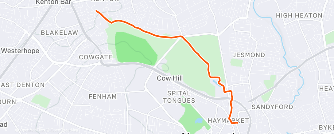 Map of the activity, Afternoon Run