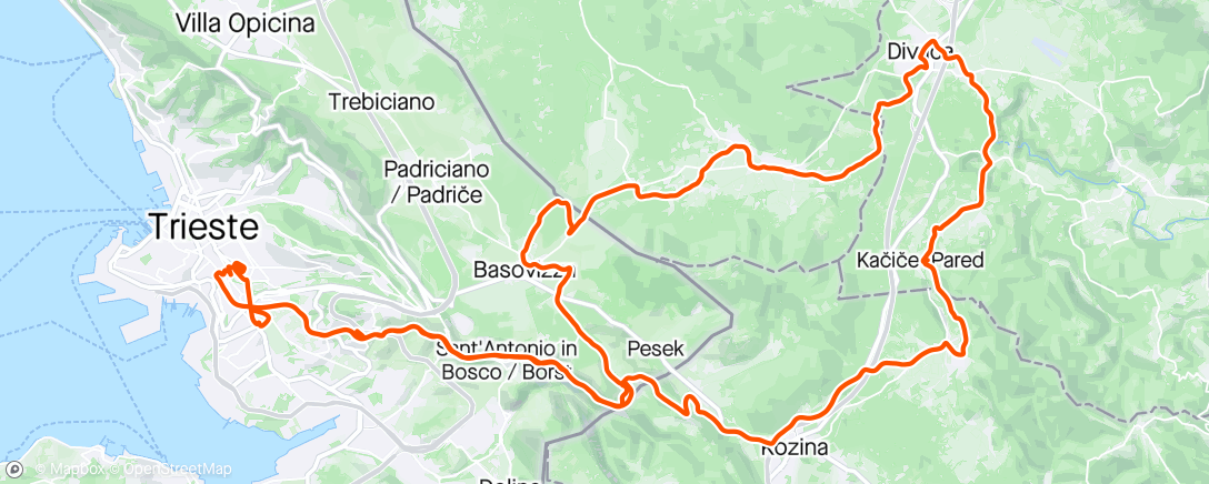 Карта физической активности (Giro con gran gruppo😉😉😉)
