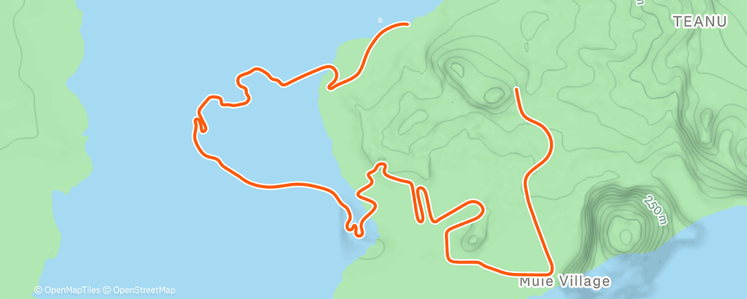 Map of the activity, Zwift - The Michigan #2