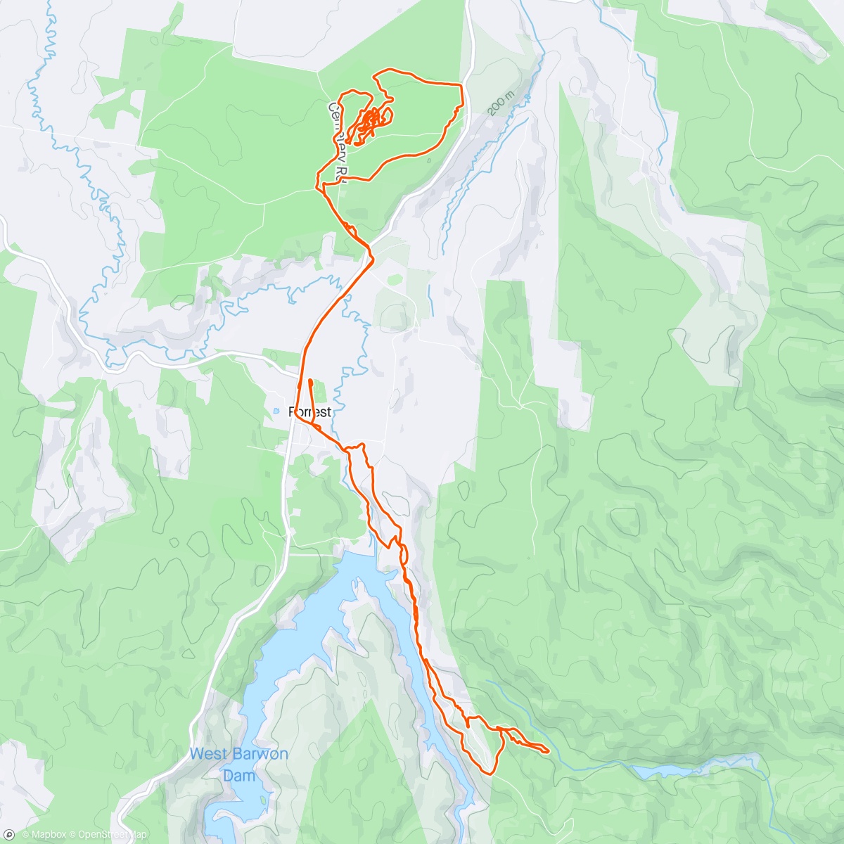 Map of the activity, Forrest after the burn off.