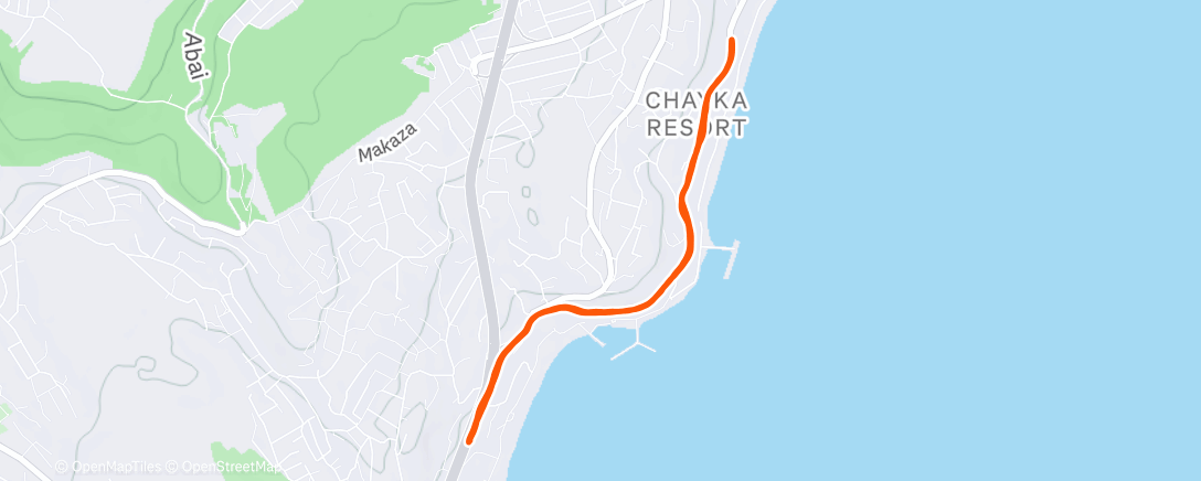 Карта физической активности (Morning Run)