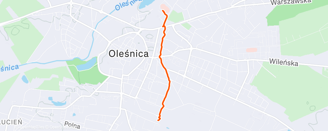 Карта физической активности (Evening walk 💨)