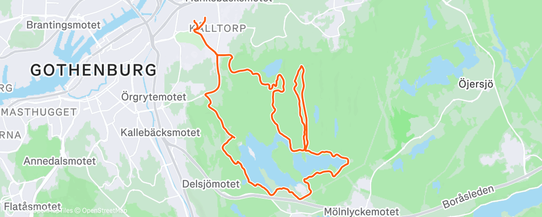 Карта физической активности (Morning Ride)