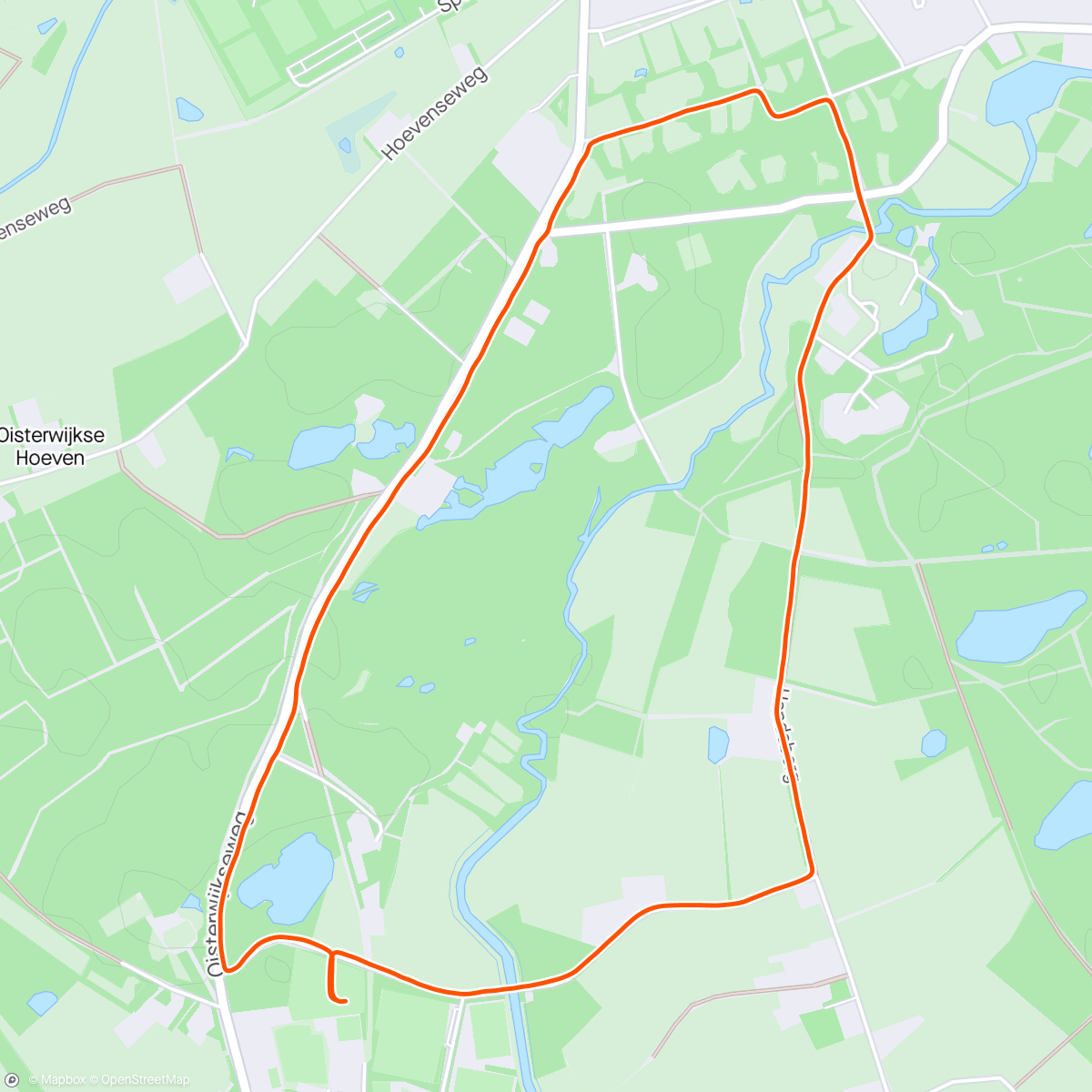Map of the activity, Rico Salvetti Loop