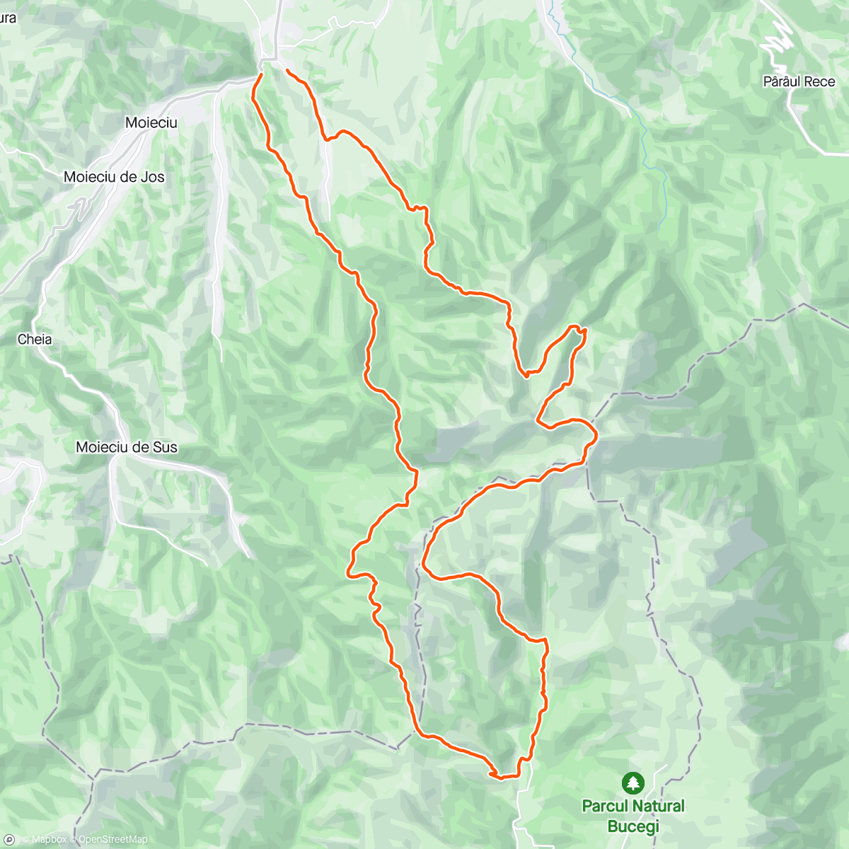 Map of the activity, Transylvania 50k