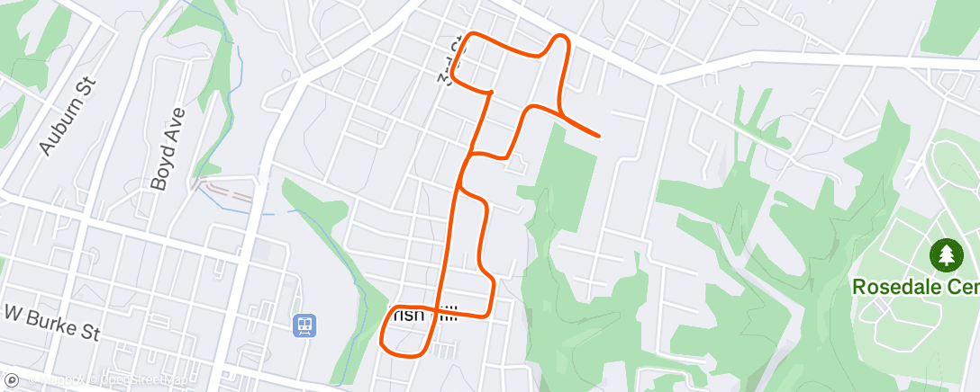 Map of the activity, Morning Run