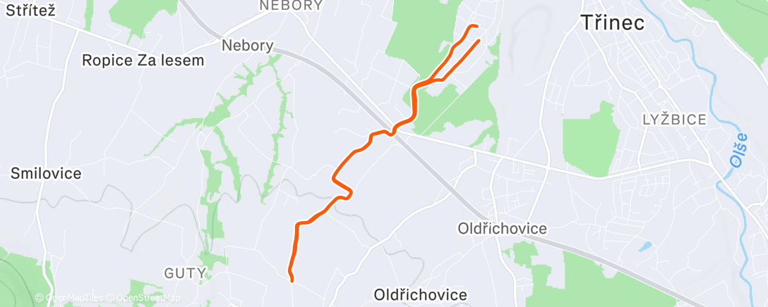 Карта физической активности (Lunch Run)