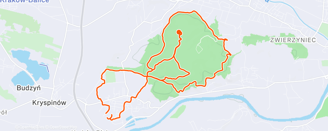 Mapa da atividade, Afternoon Trail Run