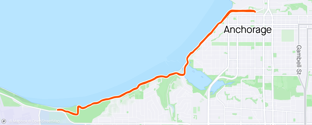 Map of the activity, Unexpected snow ❄️ Run. Anchorage