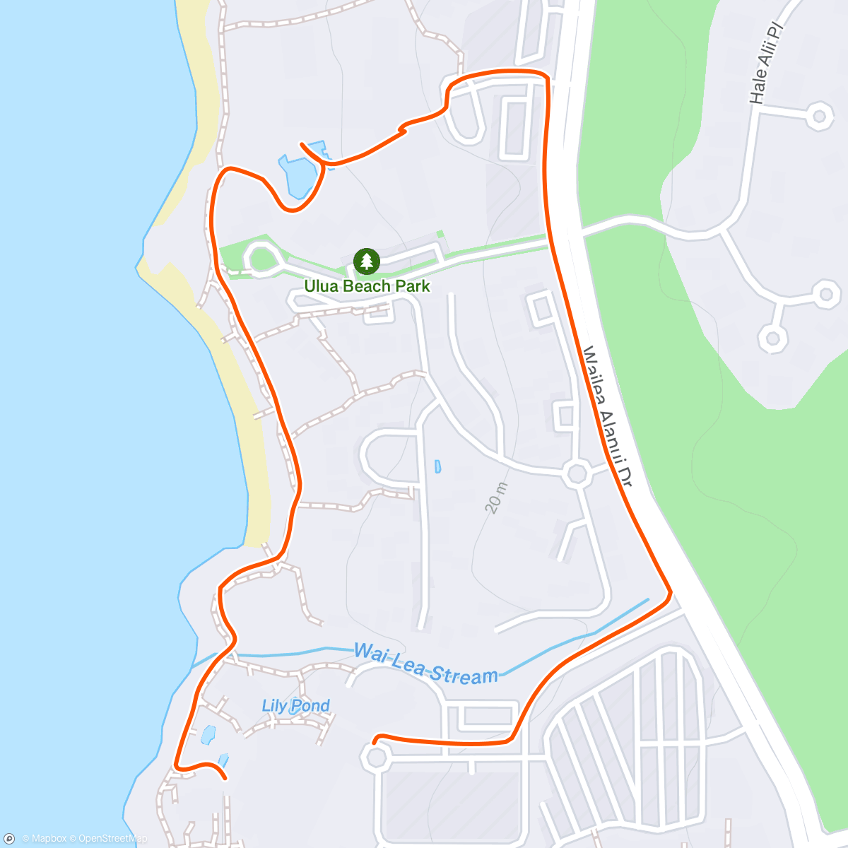 Map of the activity, Wailea Lunch Walk