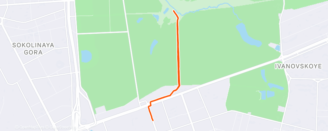 Карта физической активности (Вечерний забег)