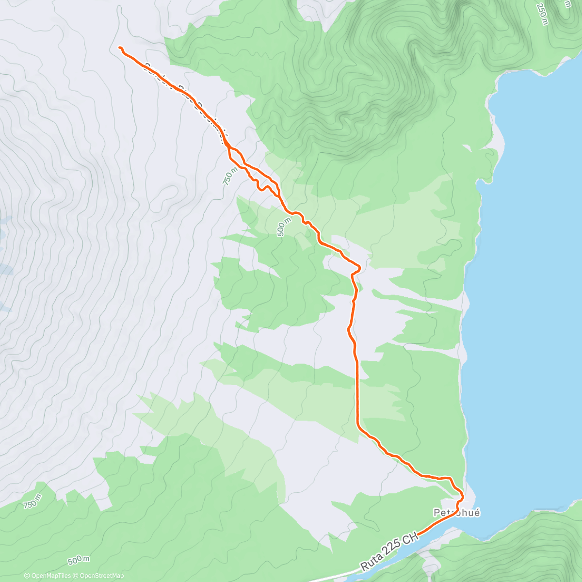 Карта физической активности (Trail Z1 800+)