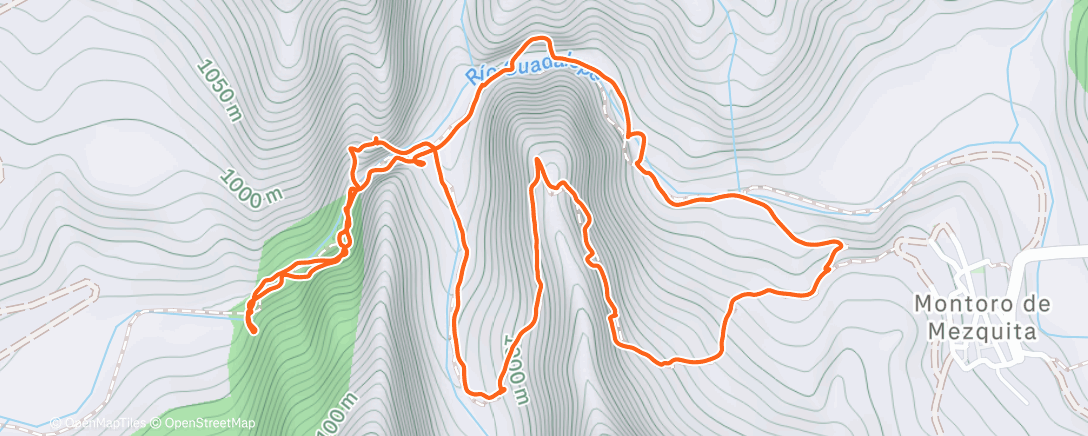 Карта физической активности (Excursión de mañana)