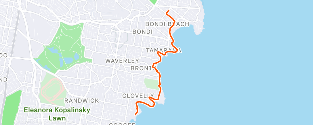 Карта физической активности (Morning Walk)