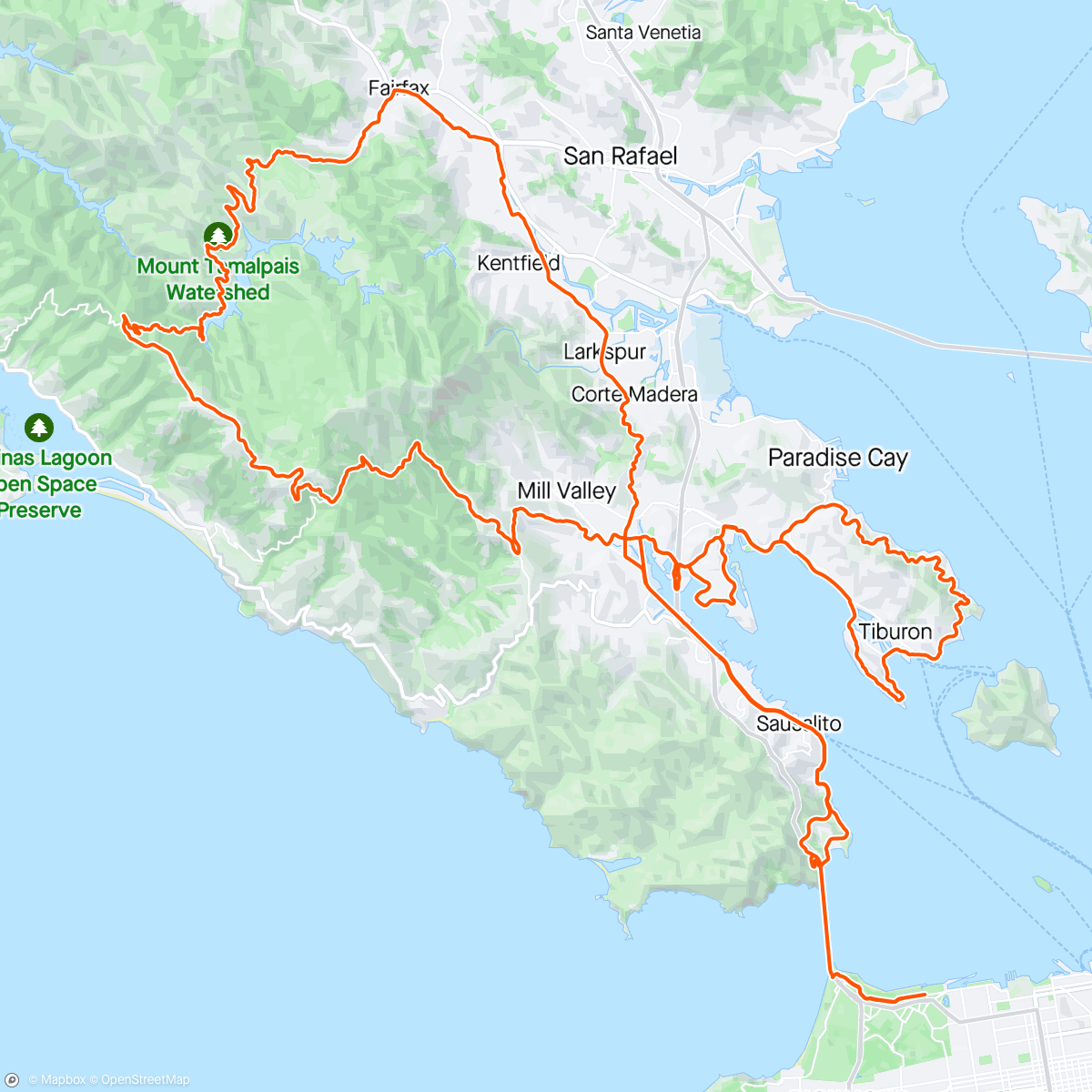 Map of the activity, Fogggggy