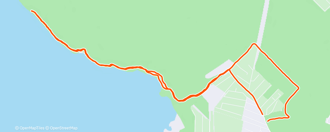 Карта физической активности (Утренний забег)