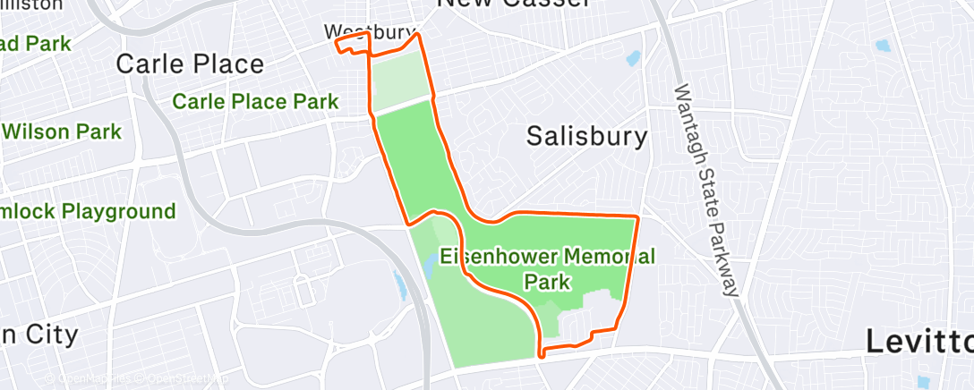 Map of the activity, Left my watch in Kings Park