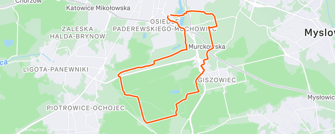 Карта физической активности (Morning Trail Run)