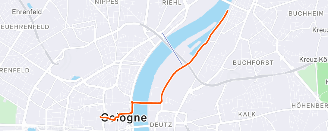 Карта физической активности (Fahrt am Nachmittag)