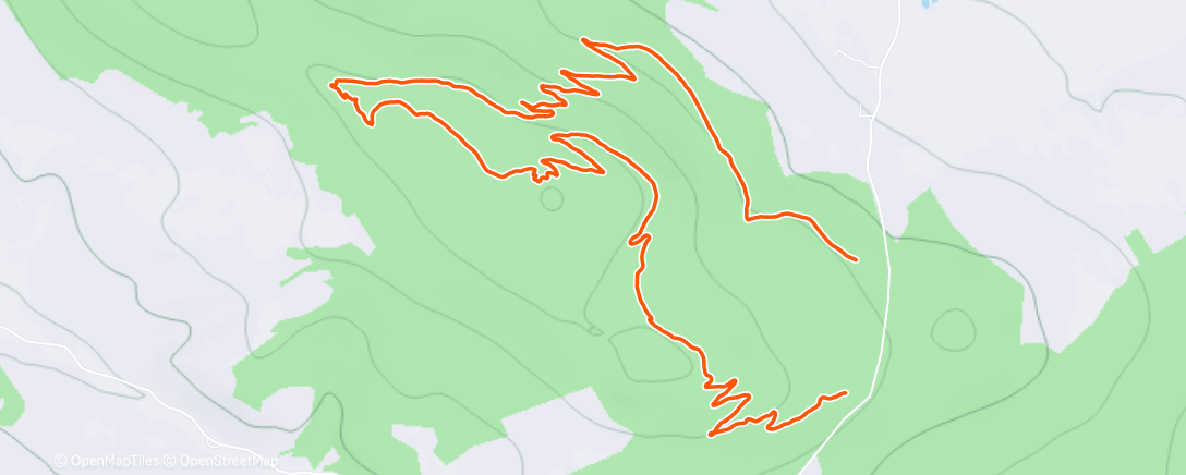 Карта физической активности (Lunch Run)