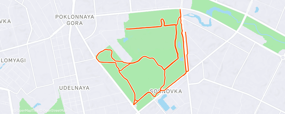 Карта физической активности (Утренний забег)