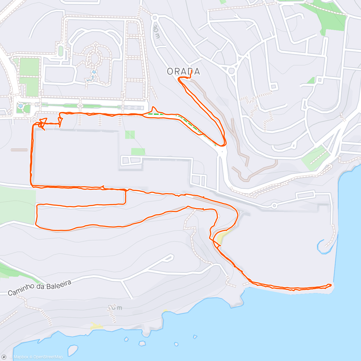 Карта физической активности (Portugal’s Neil Diamond looked shocking 🧟‍♂️)