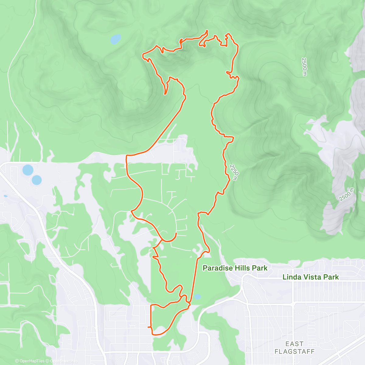 Map of the activity, Timidamente