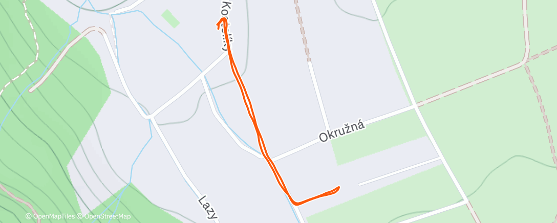 Карта физической активности (Afternoon Walk)