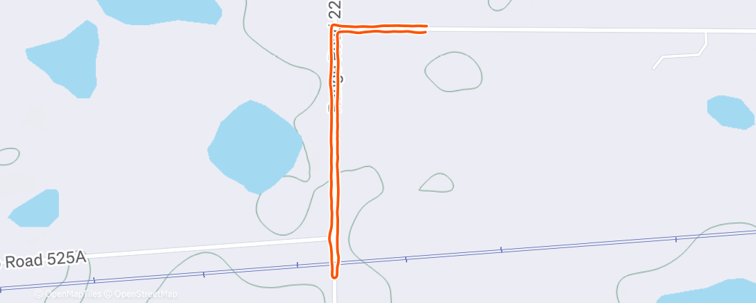 Map of the activity, Afternoon Walk