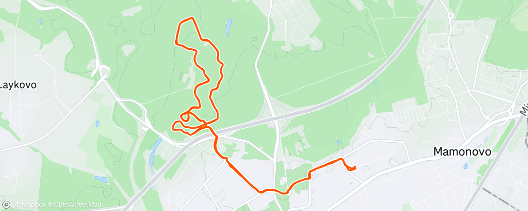 Map of the activity, Morning Run
