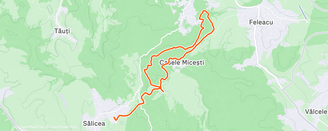 Mappa dell'attività Morning Trail Run