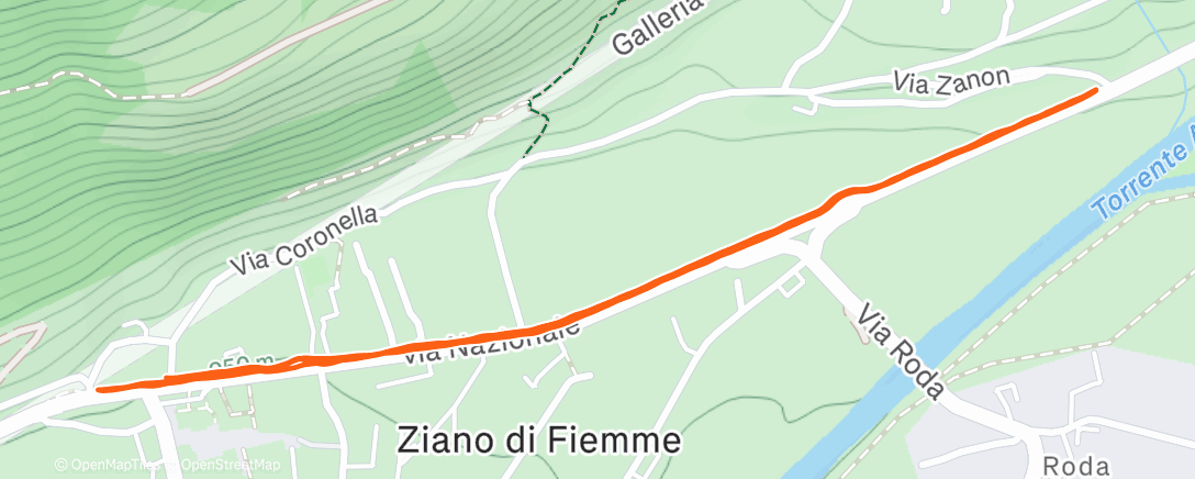 Карта физической активности (Morning Run)