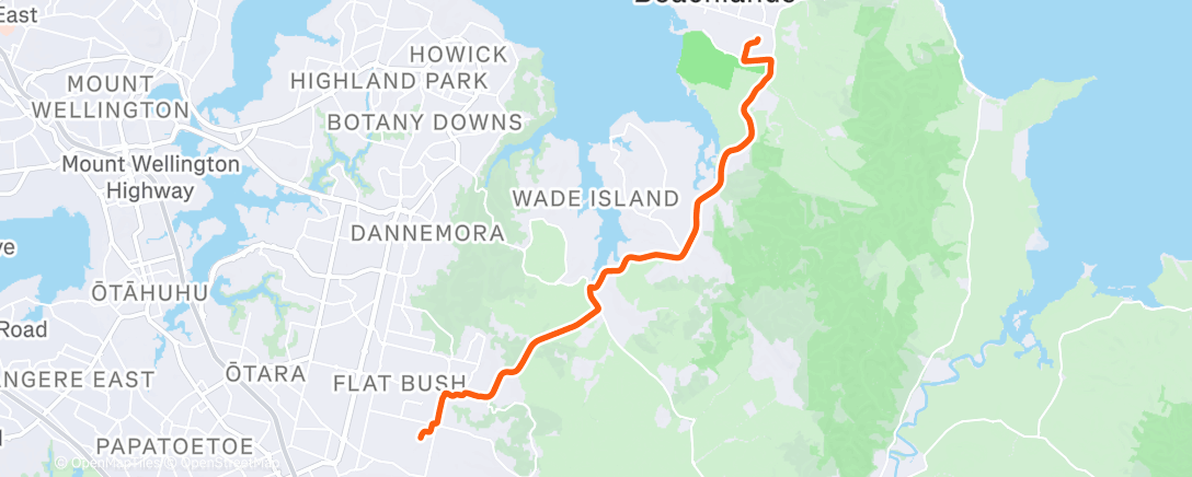 Карта физической активности (Afternoon Ride)