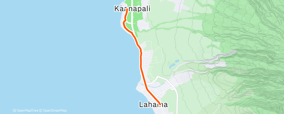 Карта физической активности (Morning Run)