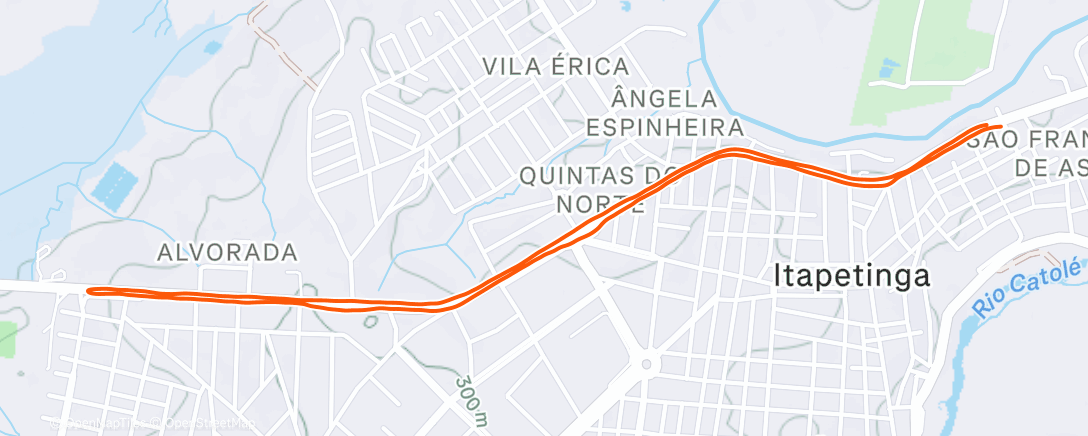 Карта физической активности (Morning Run)