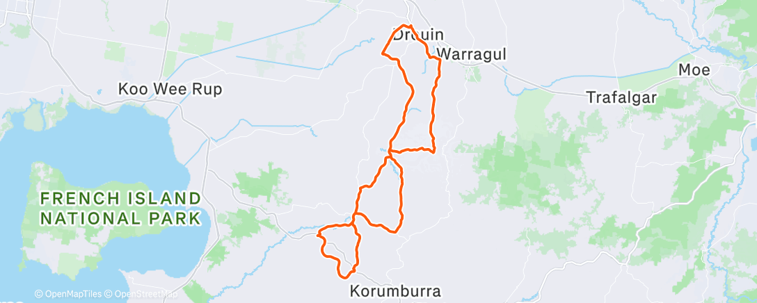 Map of the activity, Liver detox before a big week