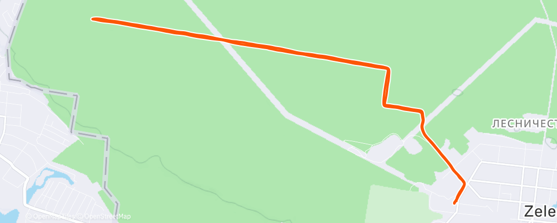 Map of the activity, Кросс с тренером Романом Киселёвым.