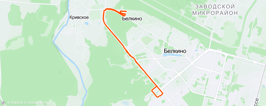 Map of the activity, Terza influenza dell'anno 2024. Obninsk 1