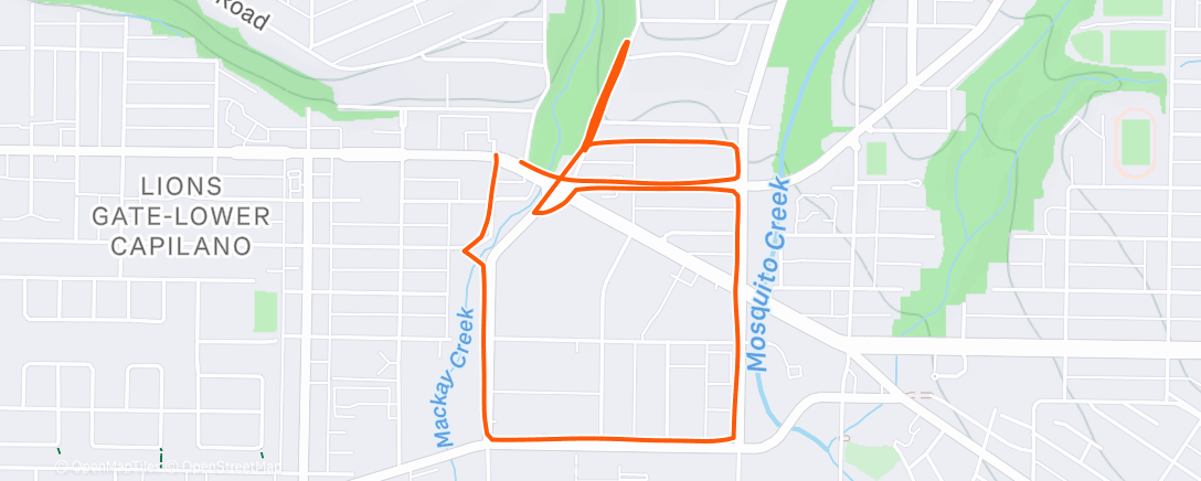 Карта физической активности (Elevated Energy 🔋)