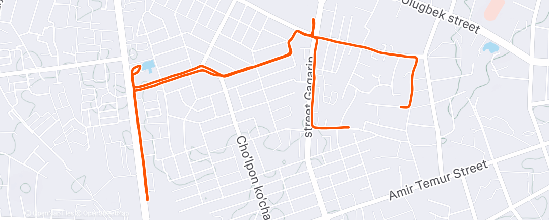 Карта физической активности (Afternoon Walk)