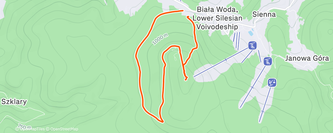 Карта физической активности (Morning Walk)